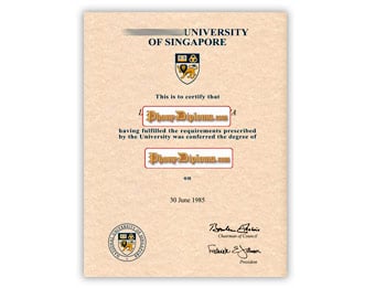 National University of Singapore - Fake Diploma Sample from Singapore